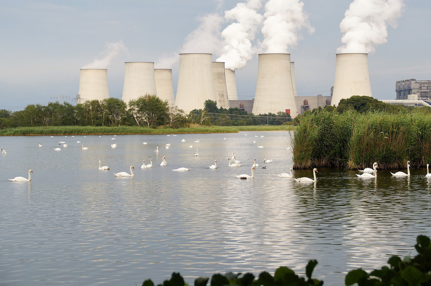 Métrologie légale et environnement